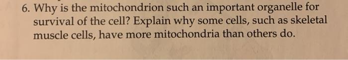 6. Why is the mitochondrion such an important organelle for survival of the cell? Explain why some cells, such as skeletal mu