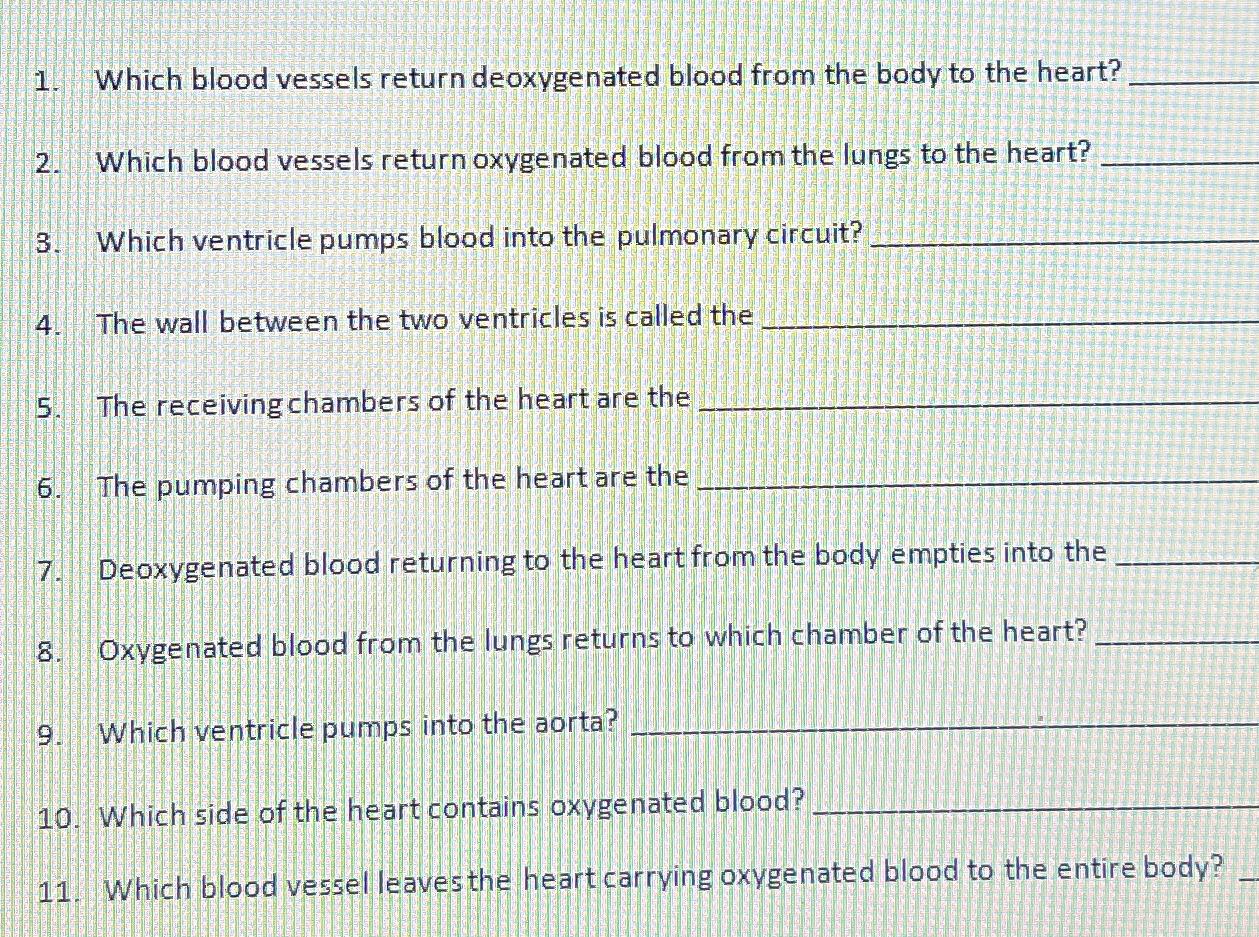 path of oxygenated and deoxygenated blood through the heart lungs and body