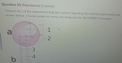 Solved Question 33 (Mandatory) (2 ﻿points)Choose ALL of the | Chegg.com