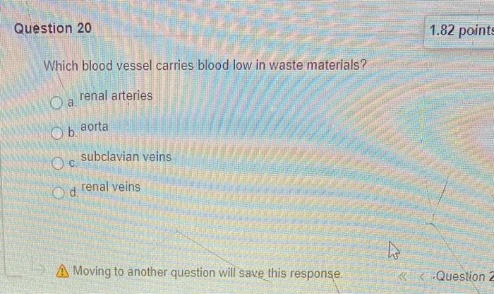 Solved Question 22 1.82 points Save Answer Which of the | Chegg.com