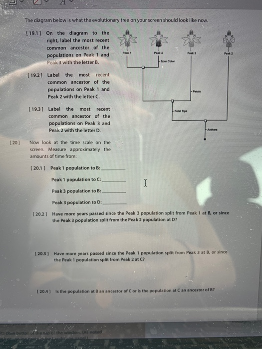 Solved The diagram below is what the evolutionary tree on | Chegg.com