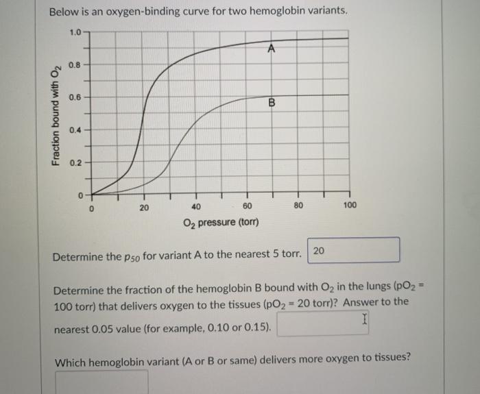 Solved Below is an oxygen-binding curve for two hemoglobin | Chegg.com