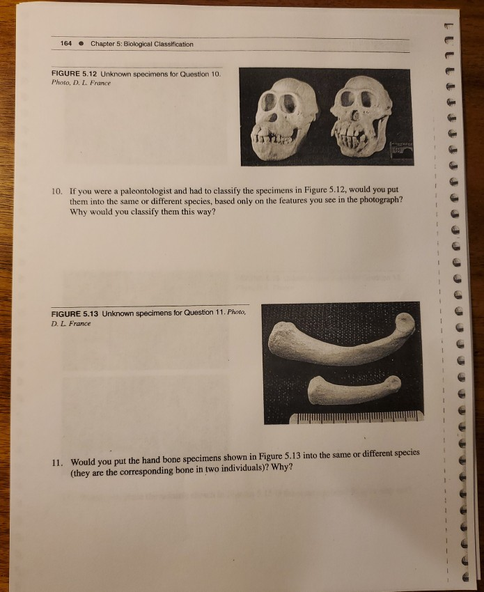 164 Chapter 5: Biological Classification FIGURE 5.12 | Chegg.com