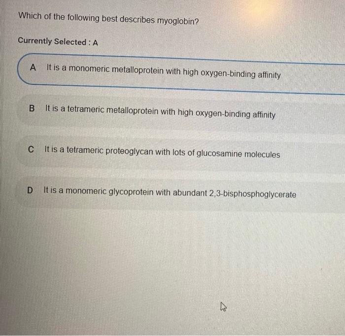 Solved Which Of The Following Best Describes Myoglobin? | Chegg.com