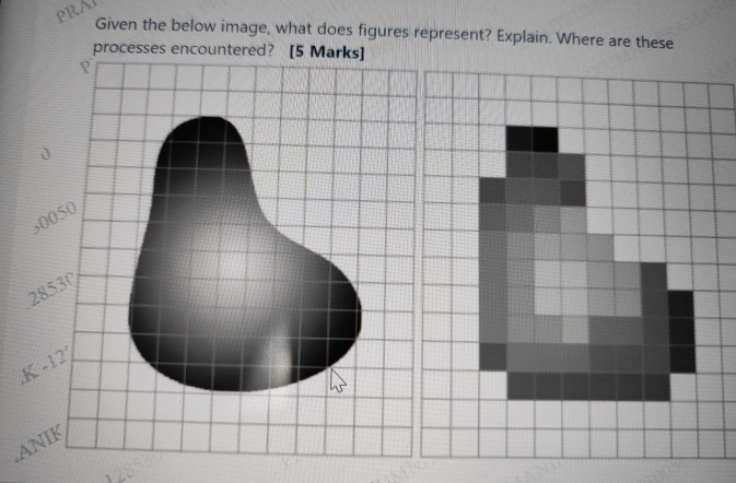 Solved Given the below image, what does figures represent? | Chegg.com
