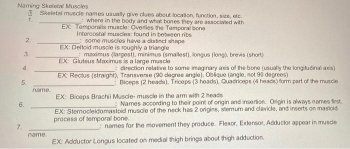 solved-2-naming-skeletal-muscles-skeletal-muscle-names-chegg