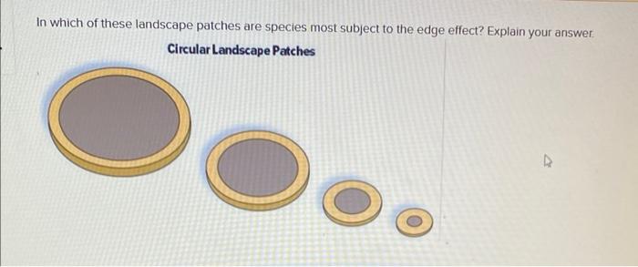Solved In which of these landscape patches are species most | Chegg.com