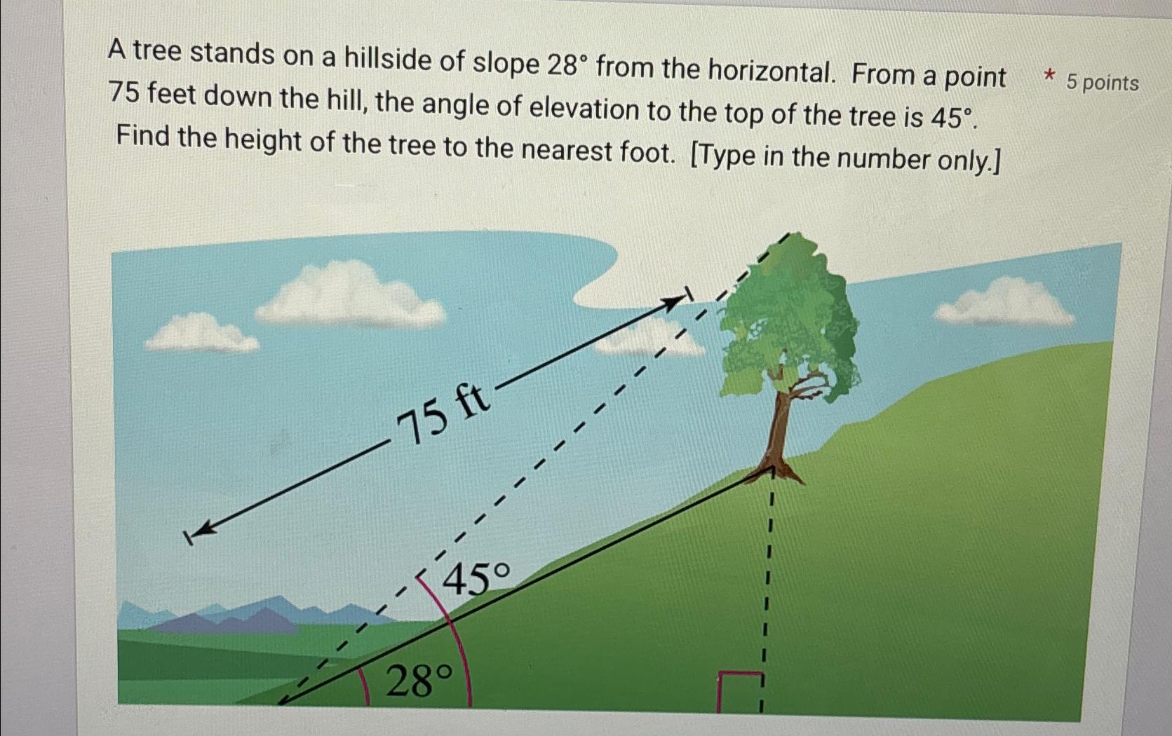 Solved A tree stands on a hillside of slope 28° ﻿from the | Chegg.com