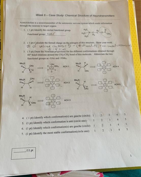 Effects of acetylcholine on cognition picture