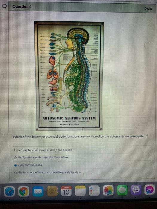 Solved D Question 4 O pts AUTONOMIC NERVOUS SYSTEM Which of | Chegg.com