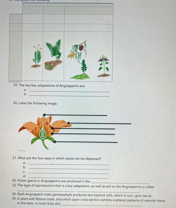 Solved 29. The two key adaptations of Angiosperms are a. b.