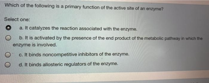 what is the primary function of an enzyme's active site