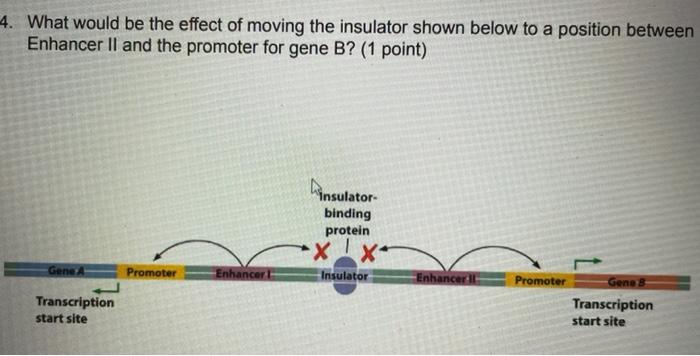 Solved What would be the effect of moving the insulator | Chegg.com