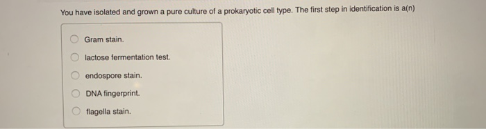 Solved You have isolated and grown a pure culture of a | Chegg.com