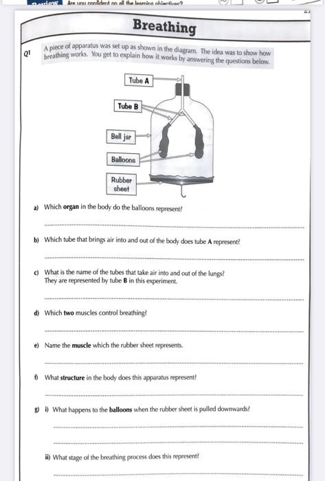 Solved 44 Practice Questions Q1 The apparatus shown on the | Chegg.com