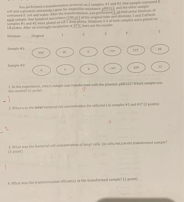 Solved 1 You Make The Following Serial Dilutions Of A