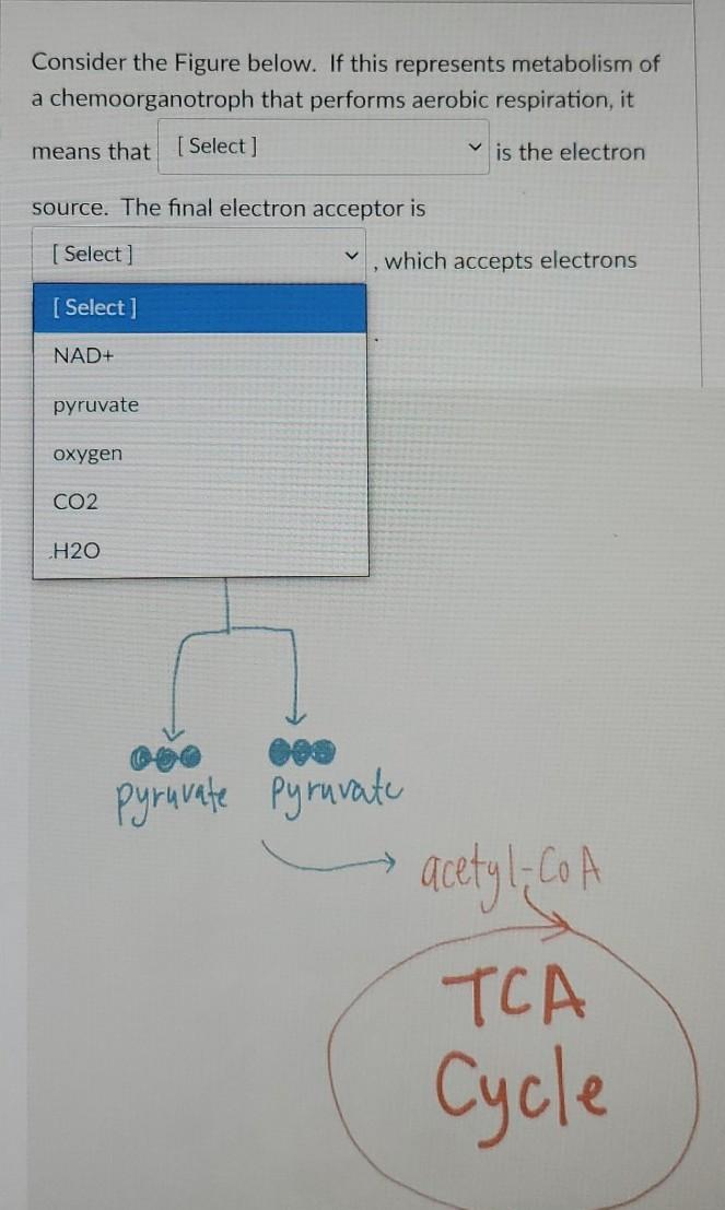 Solved Match the correct definition to each term below. | Chegg.com