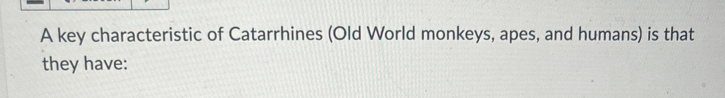 Solved A key characteristic of Catarrhines (Old World | Chegg.com