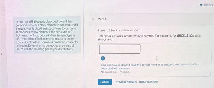 Solved In rats, gene B produces black coat color if the | Chegg.com