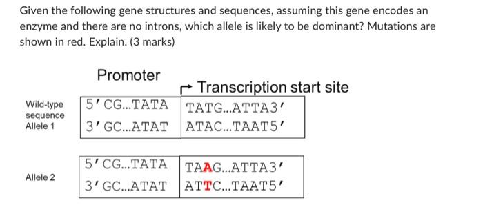 Solved Given the following gene structures and sequences, | Chegg.com