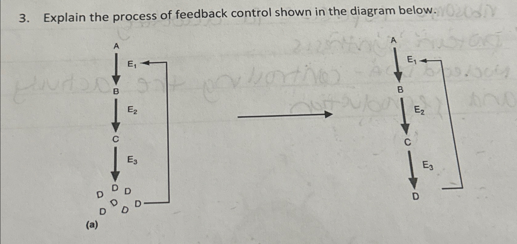 Solved Explain the process of feedback control shown in the | Chegg.com