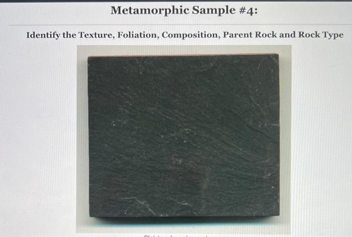 and Protolith Activity 7.4 Hand Sample Analysis, | Chegg.com