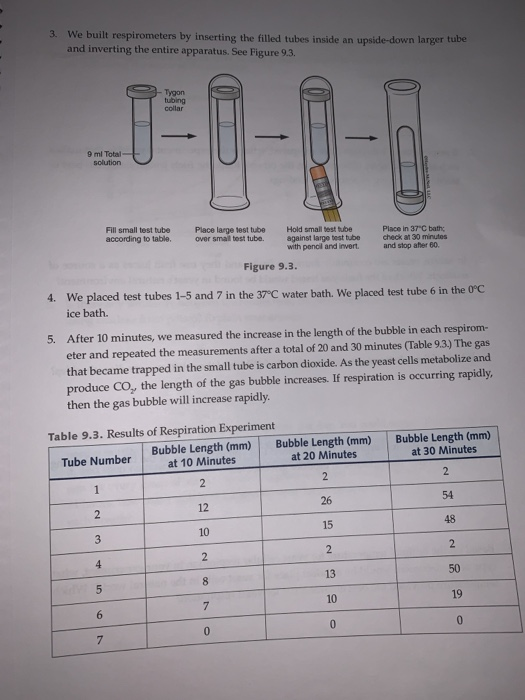 Anaerobic Respiration In Yeast Experiment
