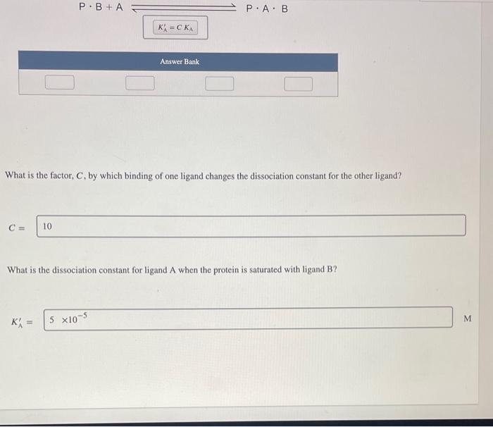 Solved Suppose That Ligand A Binds To A Protein With A 