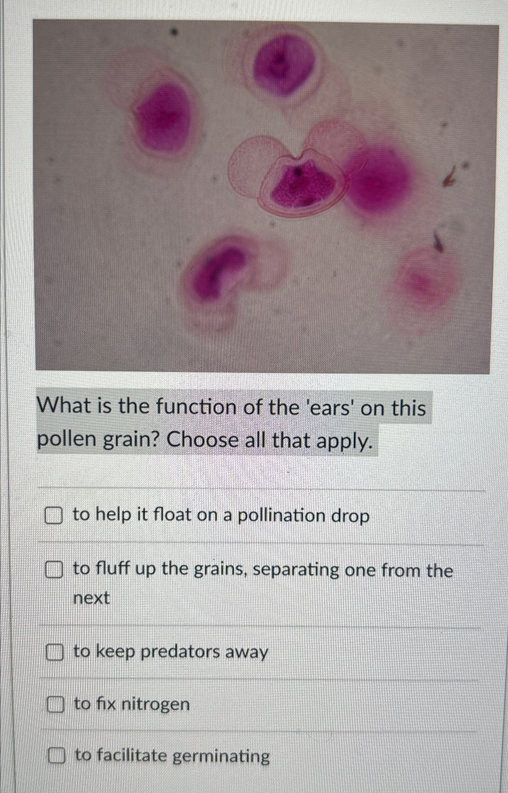 Solved What is the function of the 'ears' on this pollen | Chegg.com