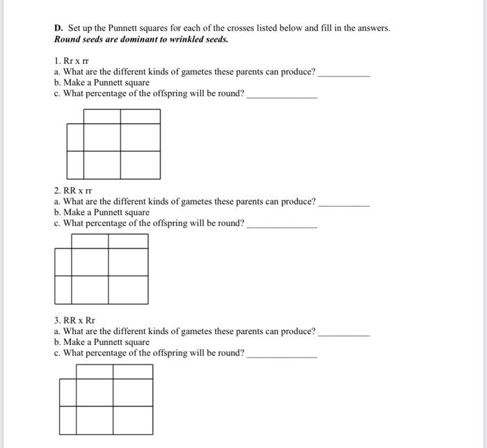 Solved D. Set up the Punnett squares for each of the crosses | Chegg.com