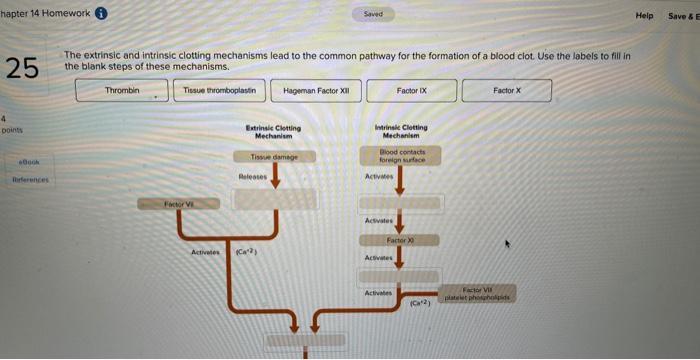 The extrinsic and intrinsic clotting mechanisms lead to the common pathway for the formation of a blood clot. Use the labels 