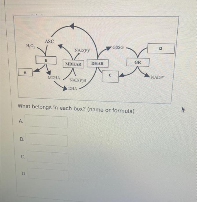 Solved What belongs in each box? (name or formula) A. B. c.