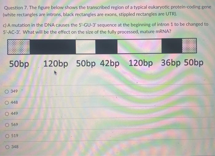 Solved Question 7. The figure below shows the transcribed | Chegg.com