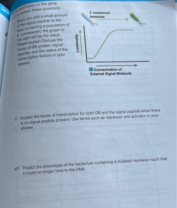 Solved ad 13. Below are two different transcription factors | Chegg.com