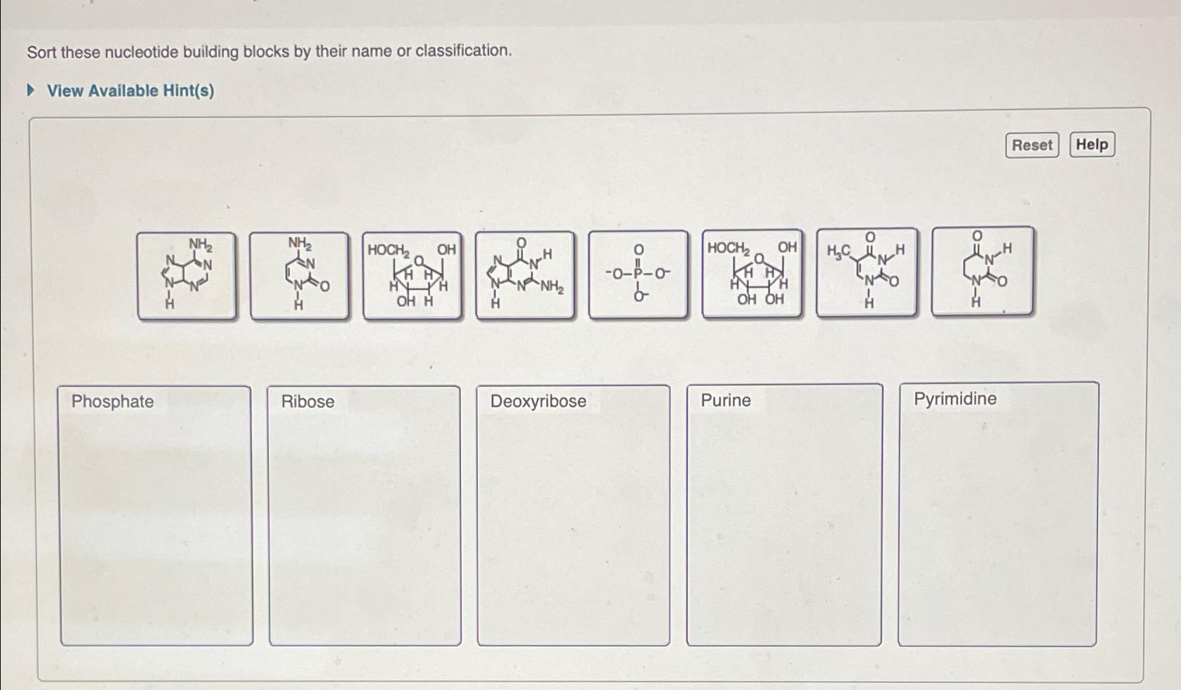 Solved Sort these nucleotide building blocks by their name | Chegg.com