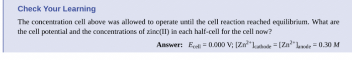 Solved Check Your LearningThe concentration cell above was | Chegg.com