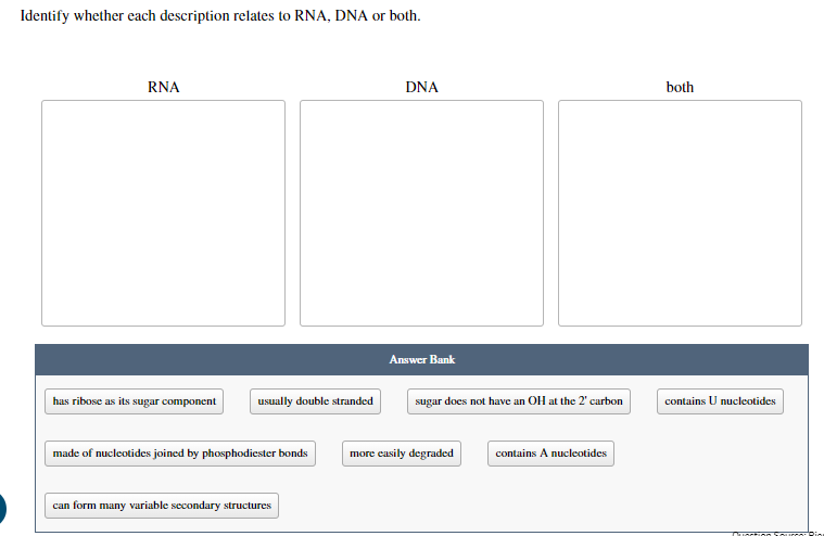 Which Statement Correctly Relates To Dna And Rna