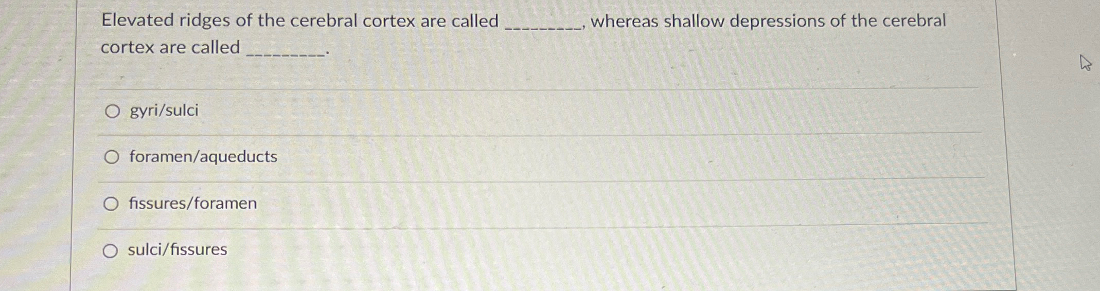 The Elevated Ridges of the Brain Are Called the __