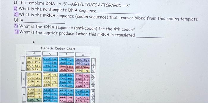 Solved Mutated Dna 5 A T G C T G Gaa C C G Ctg Ctg A 3 Chegg Com