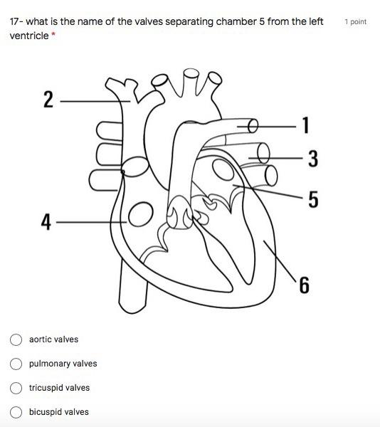 Solved 2- The diagram shows the heart and the main blood | Chegg.com