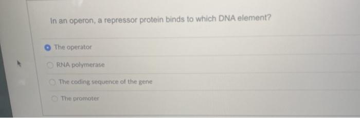 Solved In An Operon, A Repressor Protein Binds To Which DNA | Chegg.com