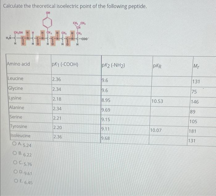 Solved Calculate the theoretical isoelectric point of the | Chegg.com