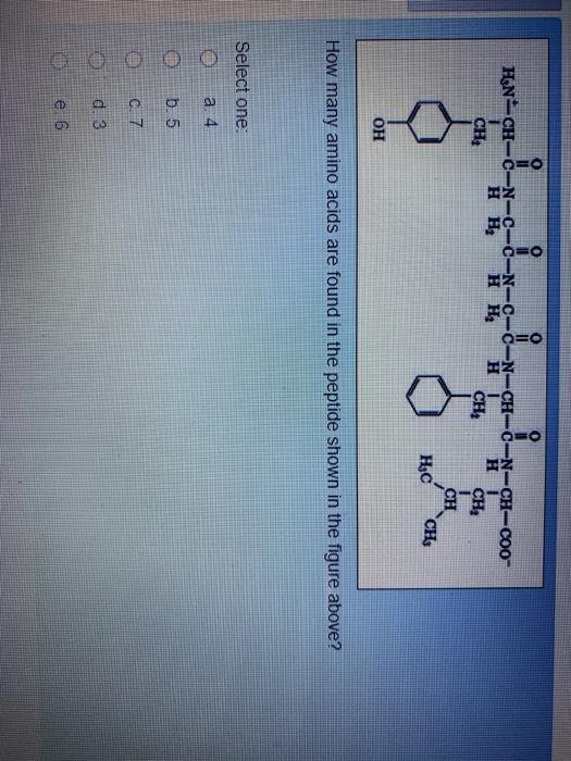 Solved Q O Ch Cu Coo Han Ch C N C 6 N C N Ch Cn H H Chegg Com