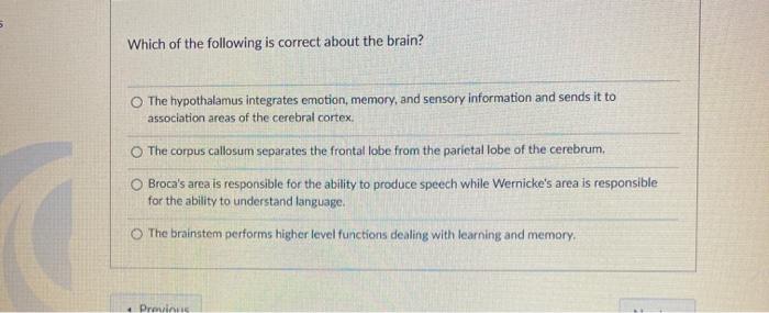 Solved Which of the following is correct about the brain? | Chegg.com