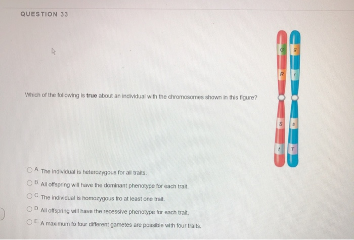 Solved QUESTION 33 Which of the following is true about an | Chegg.com