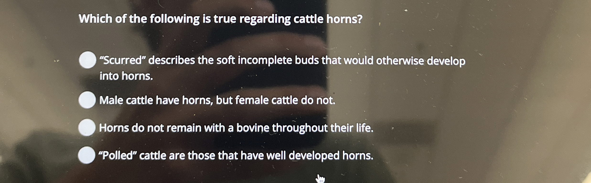 Solved Which of the following is true regarding cattle | Chegg.com