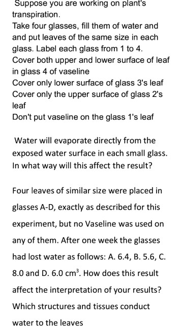 Two experimental glasses with the same capacity and amount of liquid