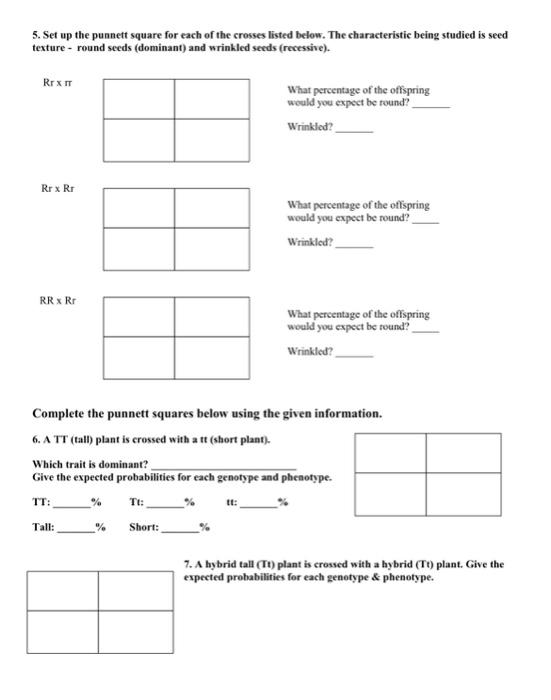 Solved 5. Set up the punnett square for each of the crosses | Chegg.com