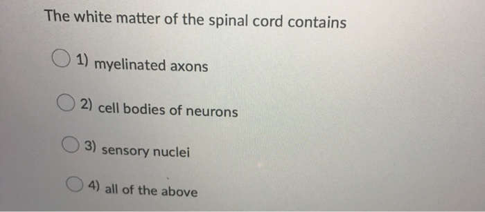 The white matter of the spinal store cord contains