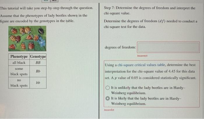 Solved please help me with these 3 steps. they are all part | Chegg.com